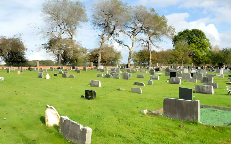 4708093_4fa568cd_1024x1024-fotor-20250118121820-r06u62jaf96dd0eb8risd8do54afk5gaf9qdney2ko